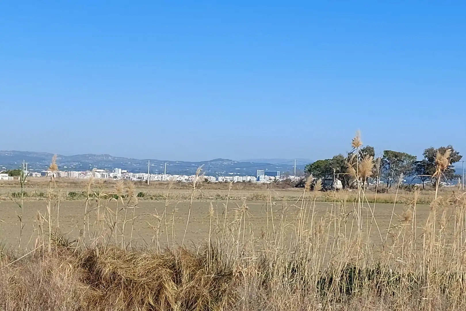 Country homes for sale in L'Ampolla  with Private garden
