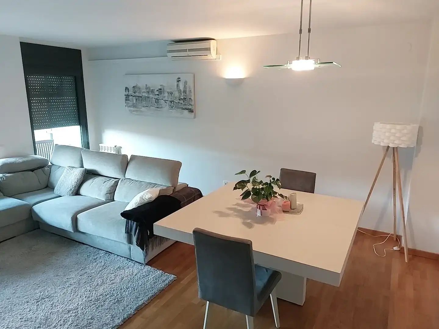 Sala d'estar de Pis de lloguer en Girona amb Aire condicionat, Calefacció i Jardí privat