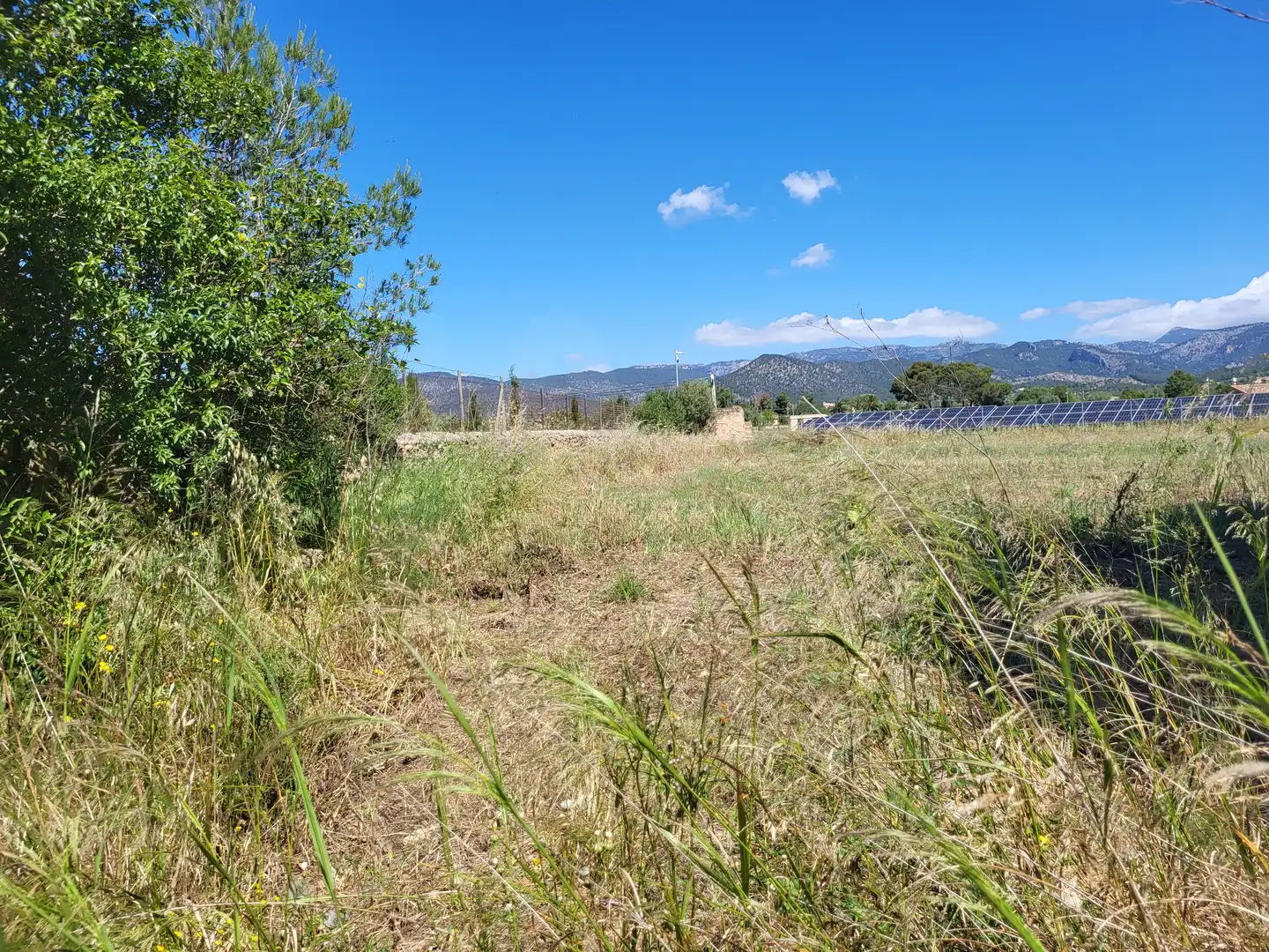 Terrain rustique à vendre à Polígono 2 Parcela 1, imagen 26