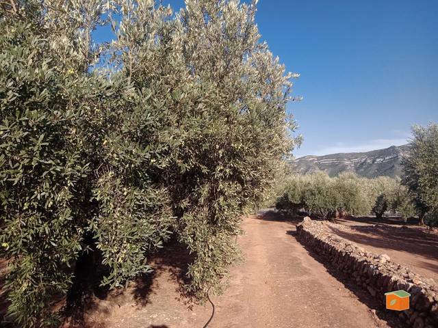 Finca rústica en Venta en Freginals