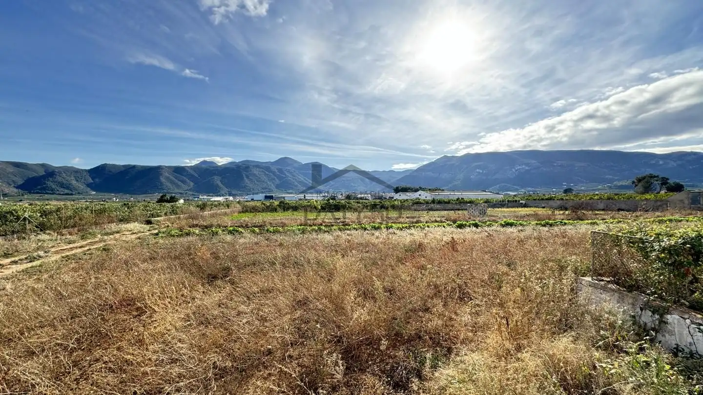 Finca rústica en venta en Benifairó de la Valldigna con Terraza