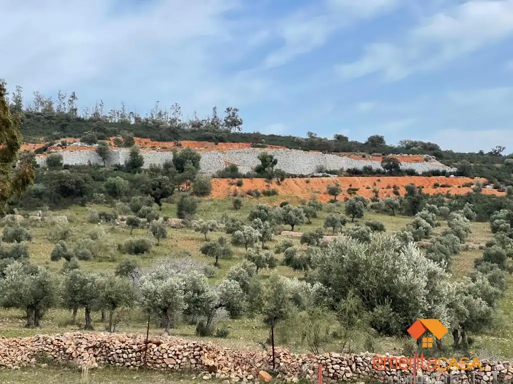 Terreni e lotti in vendita a Quintana de la Serena