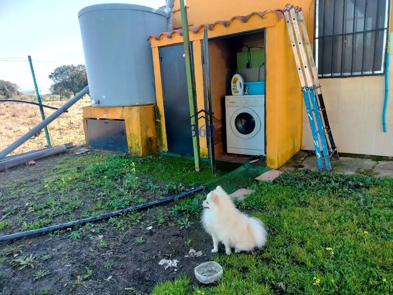 Jardín de Finca rústica en venta en Alcuéscar
