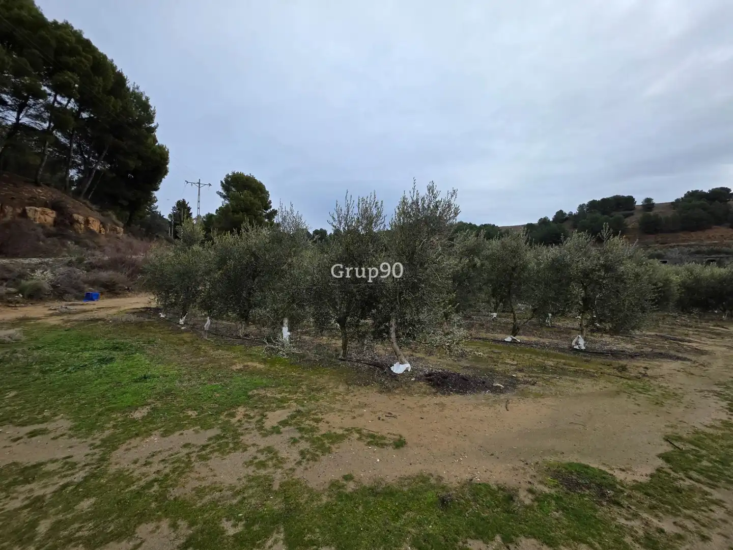 Terreno rustico in vendita a Alpicat, imagen 5