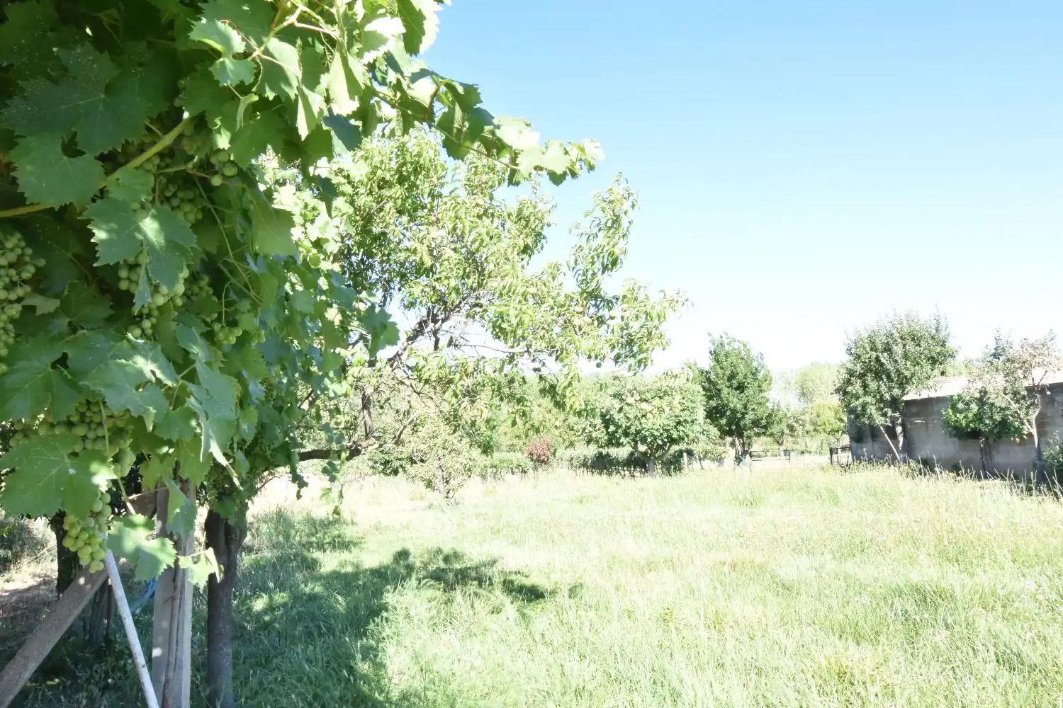 Finca rústica en venta en Ciudad Rodrigo