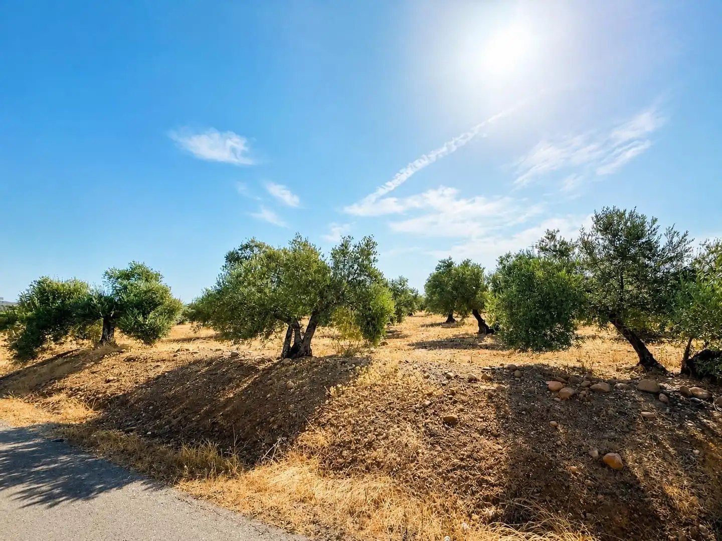 Casa o xalet en venda en Montoro amb Jardí privat, Traster i Moblat