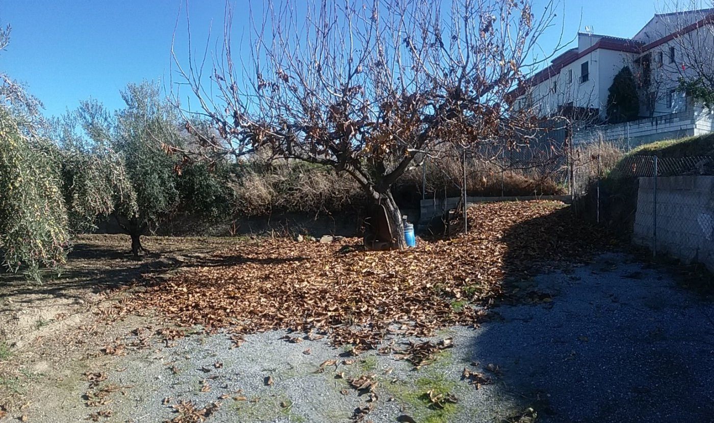 Finca rústica en venda en La Zubia