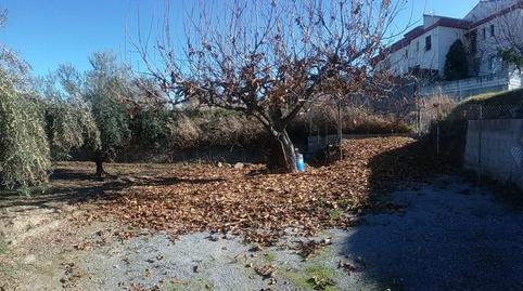 Foto 3 de Finca rústica en venda a La Zubia Ciudad, La Zubia
