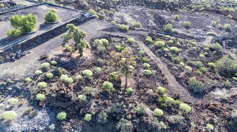 Photo 4 of Land for sale in Carretera Cruz Balos (chigora) Poligono 1 -, 180, Guía de Isora interior, Guía de Isora