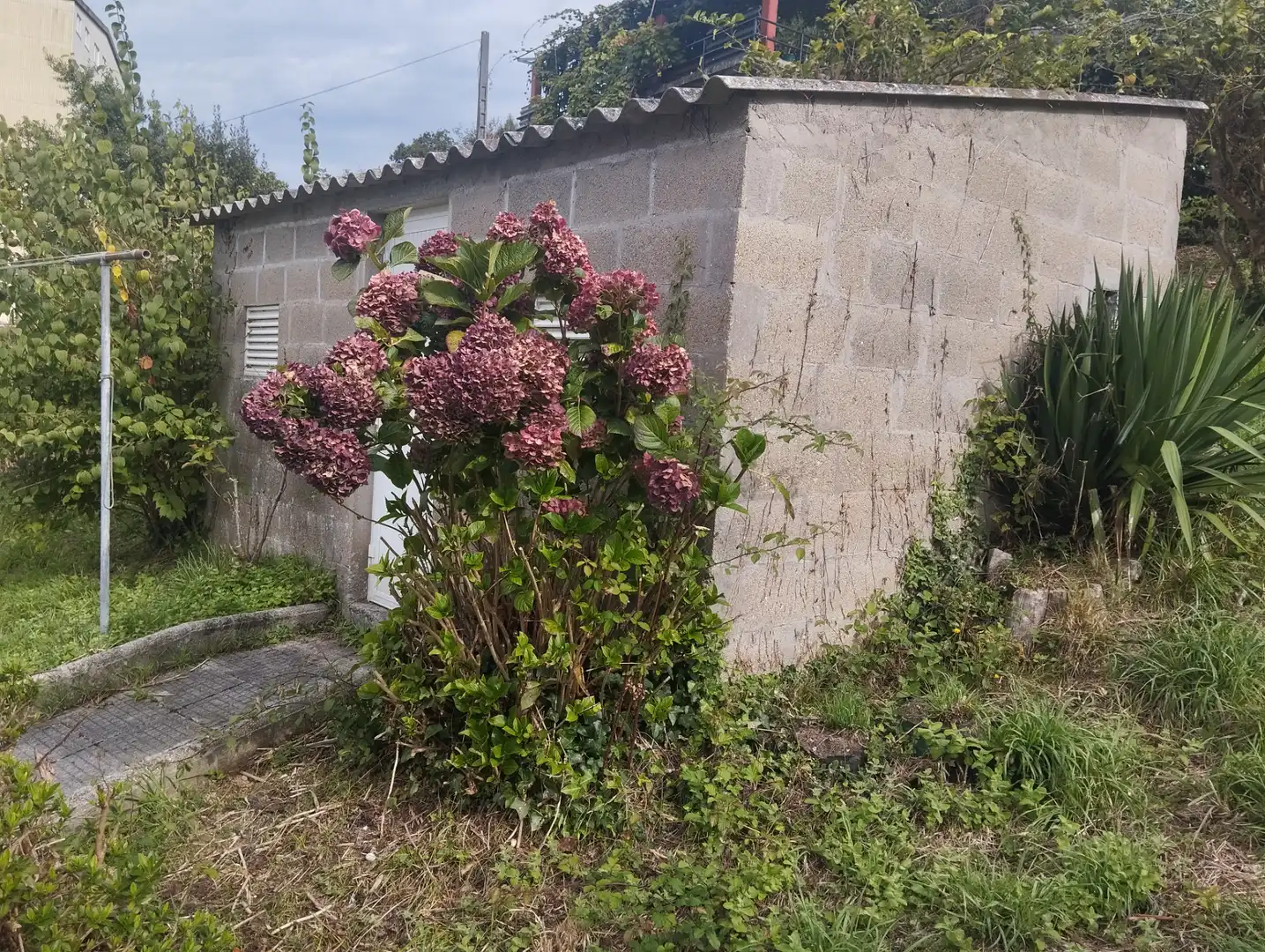 Casa amb jardí en venda a Viveiro, imagen 5
