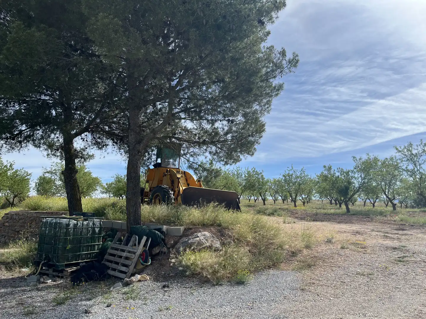 Rustikales Grundstück zum Verkauf in Avenida de Andalucía, imagen 7