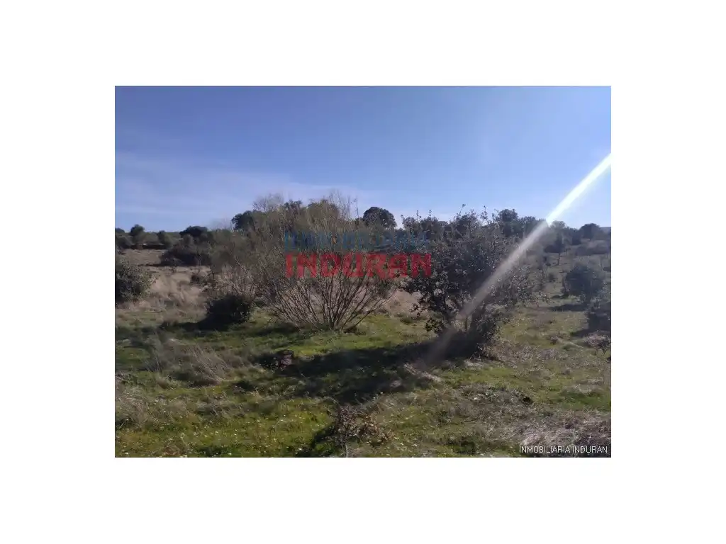 Casa rústica en venda a Fresnedoso de Ibor, imagen 13