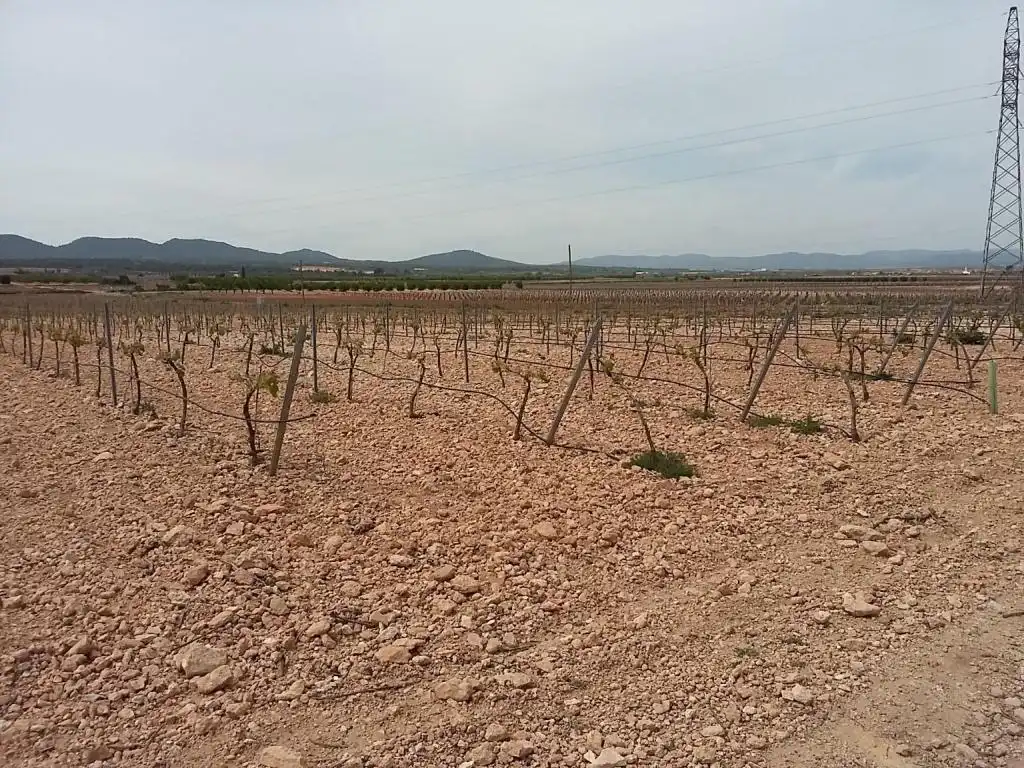 Terreny rústic en venda a POLIGONO, imagen 4