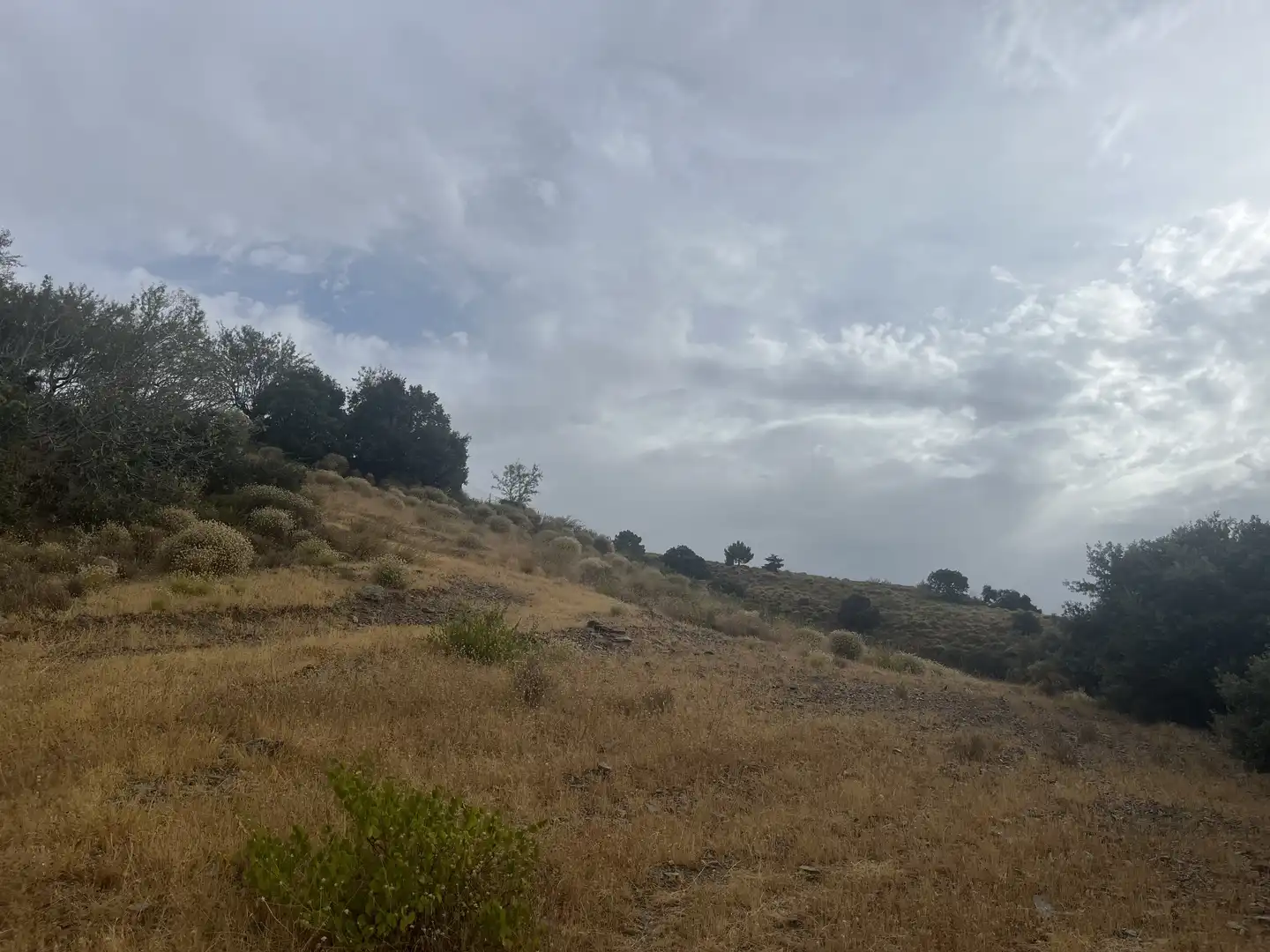 Terreno en venta en La Taha