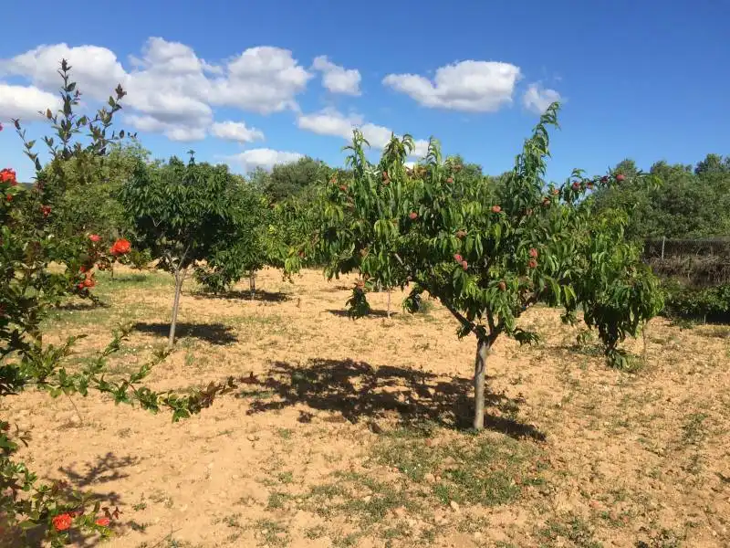 Country homes for sale in El Tancat - Mas d'en Gual