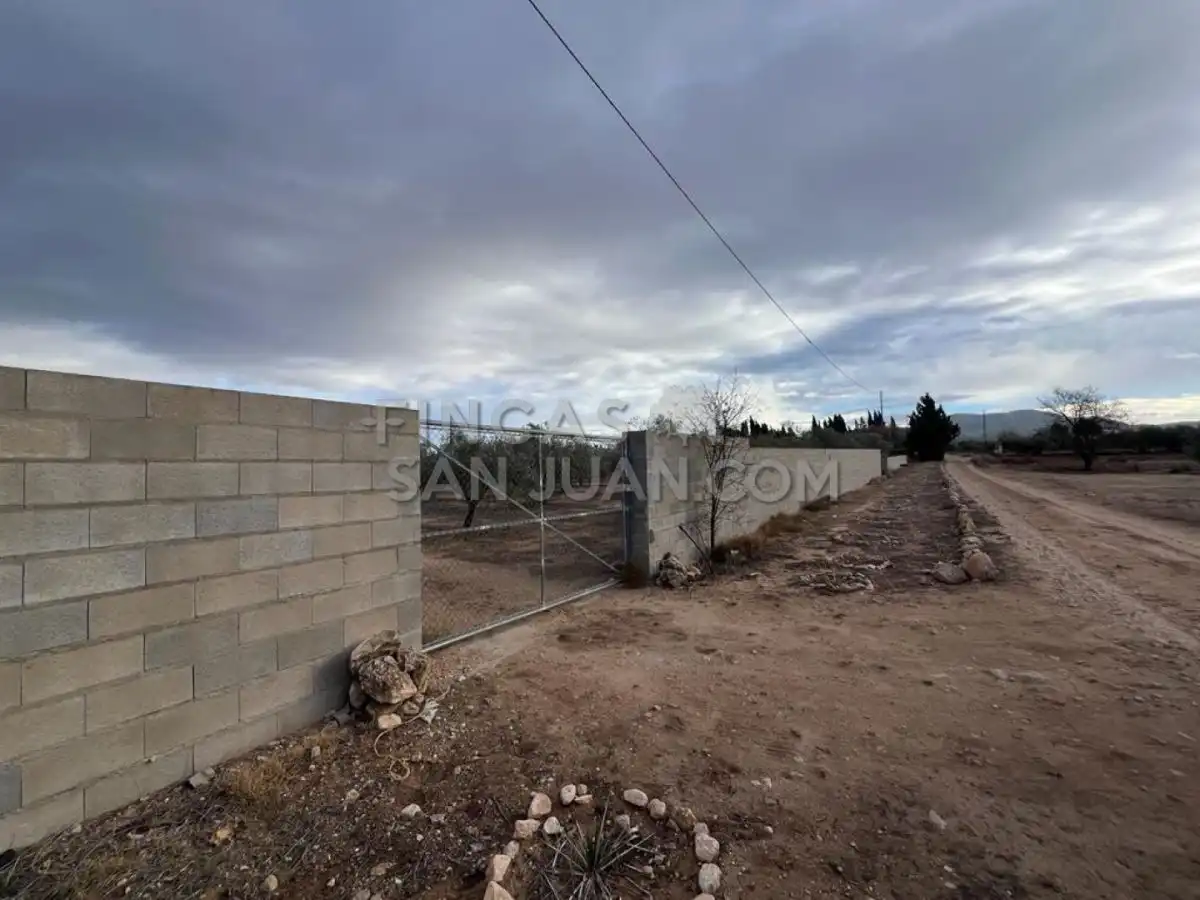 Country homes for sale in Biar