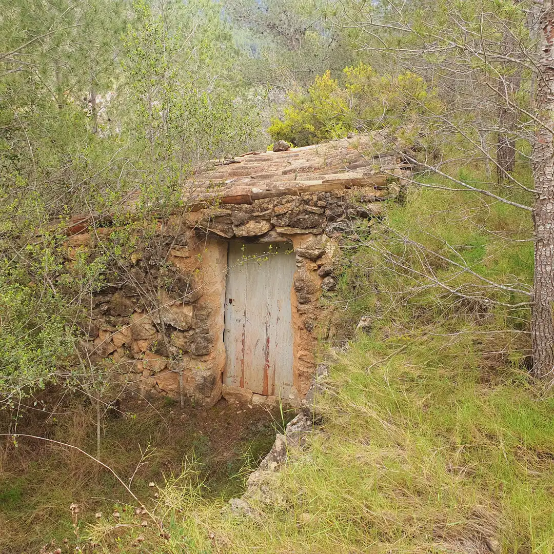 Terrain rustique à vendre à Benifallet, imagen 3