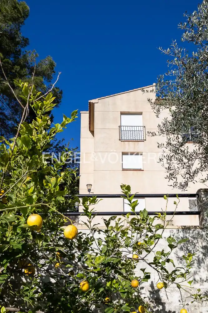 Casa con jardín en venta en Oliva pueblo, imagen 44