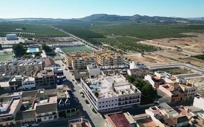 Vista exterior de Àtic en venda en Algorfa amb Terrassa i Piscina comunitària