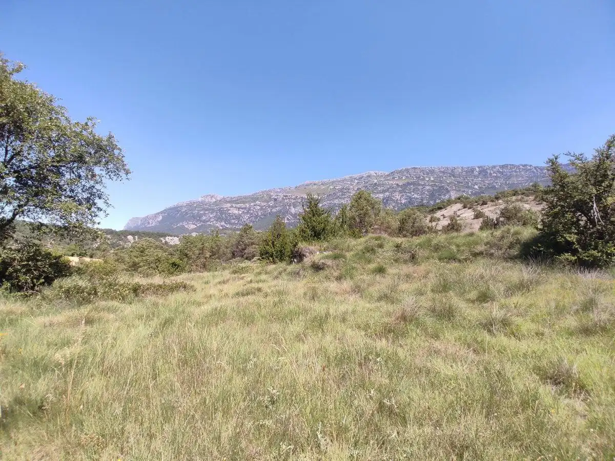 Country homes for sale in Foradada del Toscar