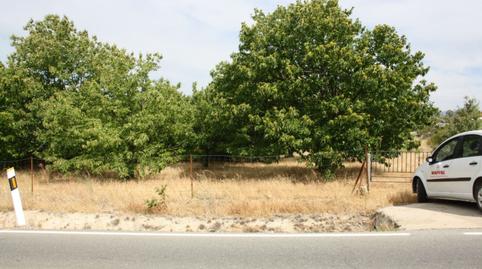 Photo 3 of Industrial land for sale in Carretera Valdastillas-piornal, 12a, Piornal, Cáceres