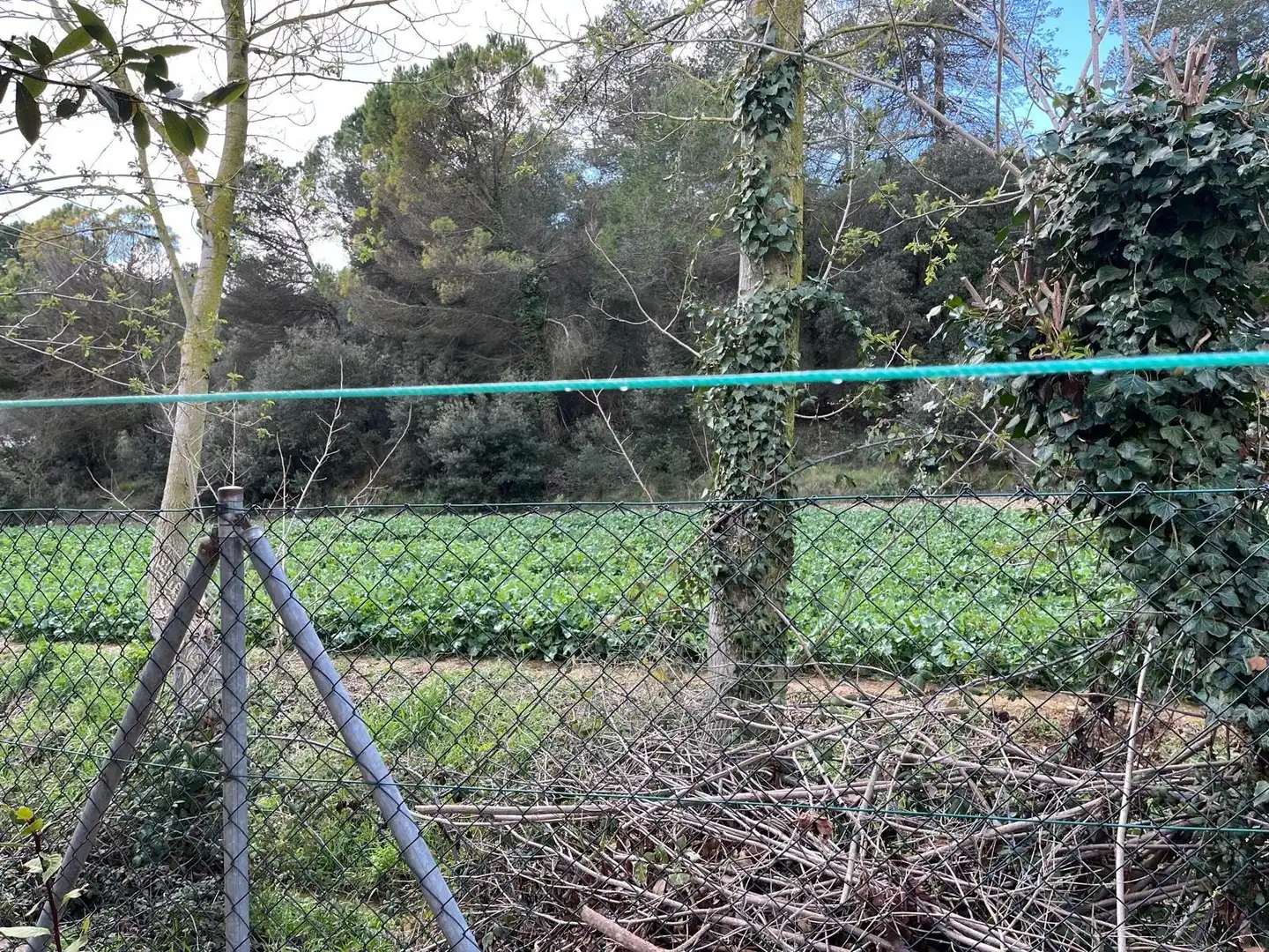 Terreno residencial en venta en El Bruc, imagen 12