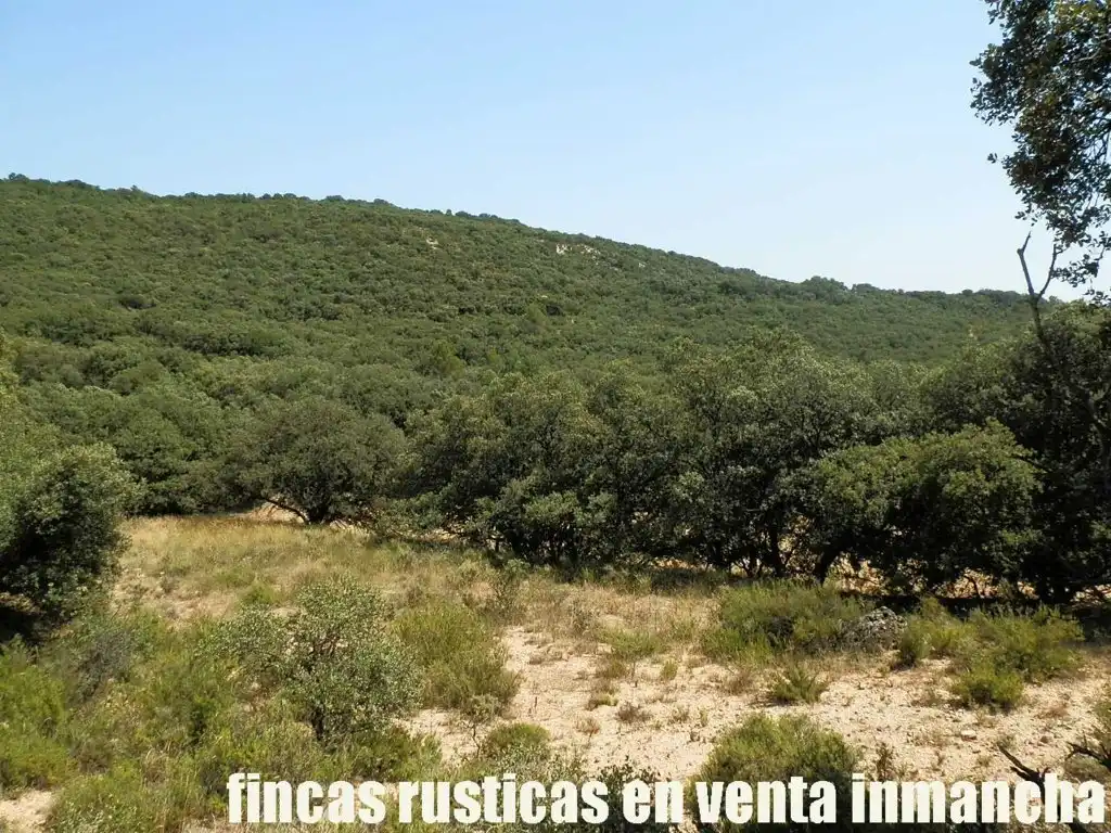 Rustikales Grundstück zum Verkauf in Alcocer, imagen 19