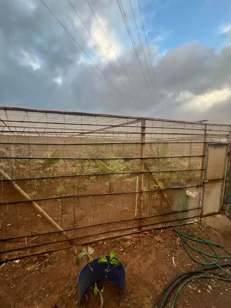 Rural land for sale in Ingenio pueblo, imagen 45
