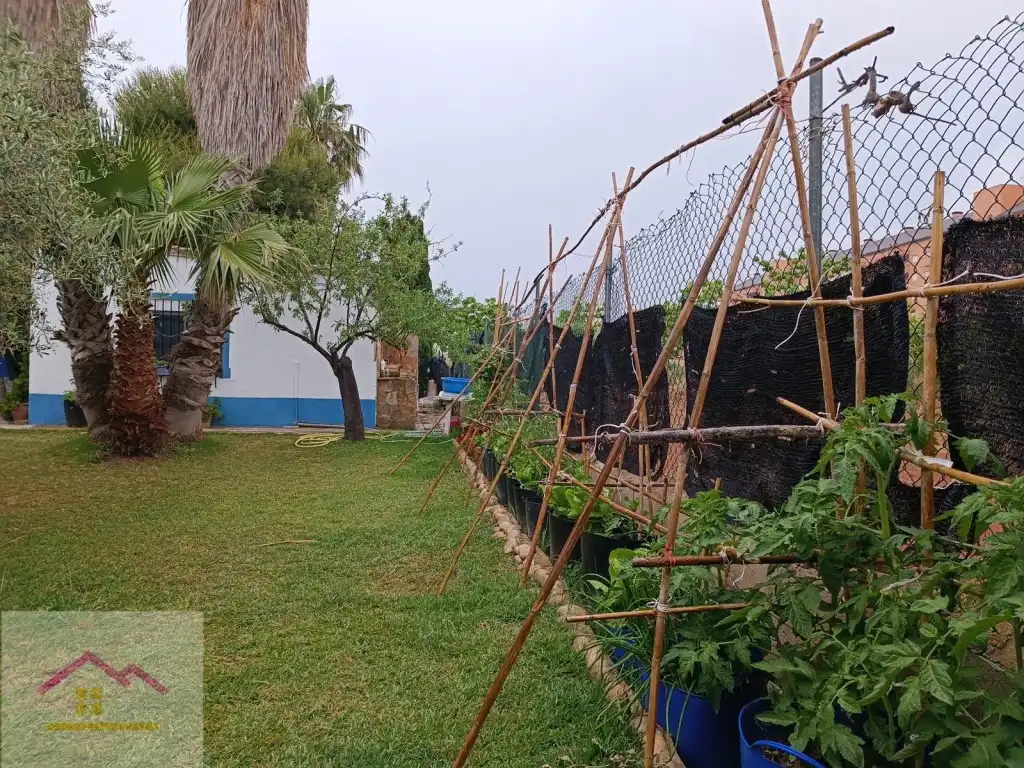 Casa o xalet en venda a Urbanizacion Pai Sector Torrelasal, Cabanes