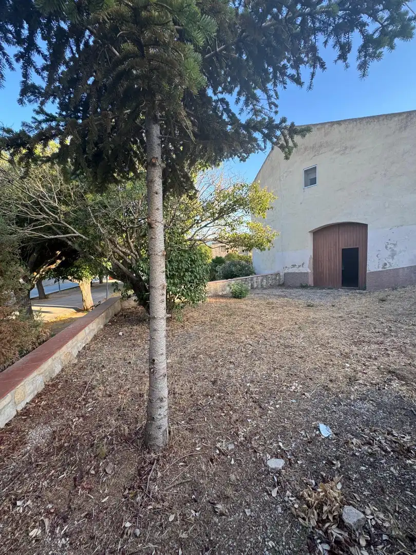 Exterior view of Houses for sale in Pira  with Private garden, Terrace and Storage room