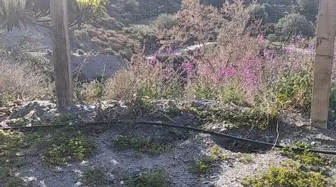 Foto 5 de Finca rústica en venda a Carretera de Mecina, 11, Válor, Granada
