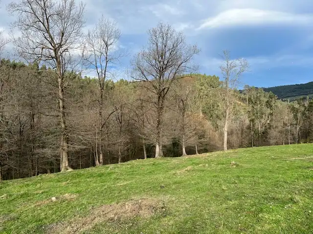 Land for sale in Lezama