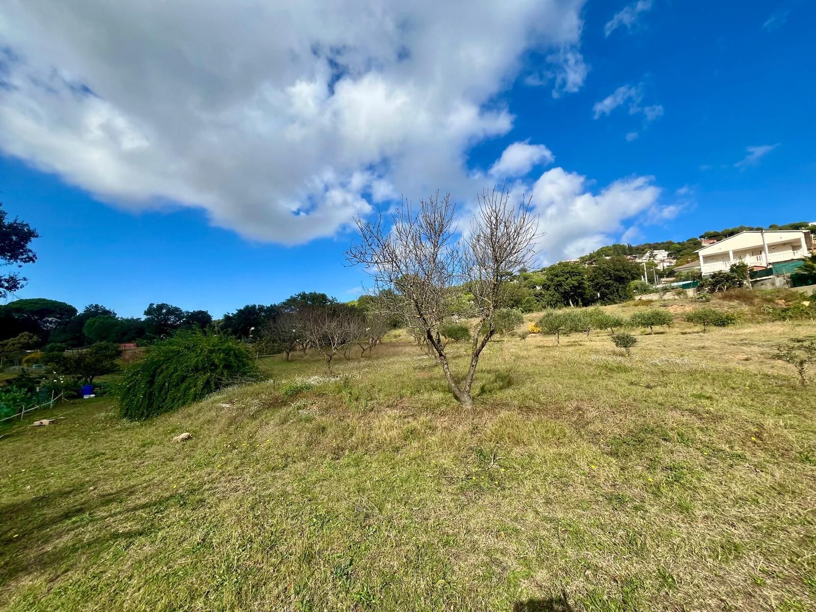 Casa o xalet de lloguer en Vilanova del Vallès amb Jardí privat