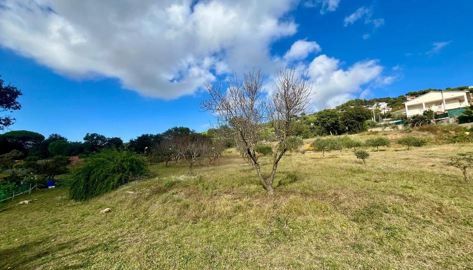 Foto 1 de Casa o xalet de lloguer a Vilanova del Vallès, Barcelona