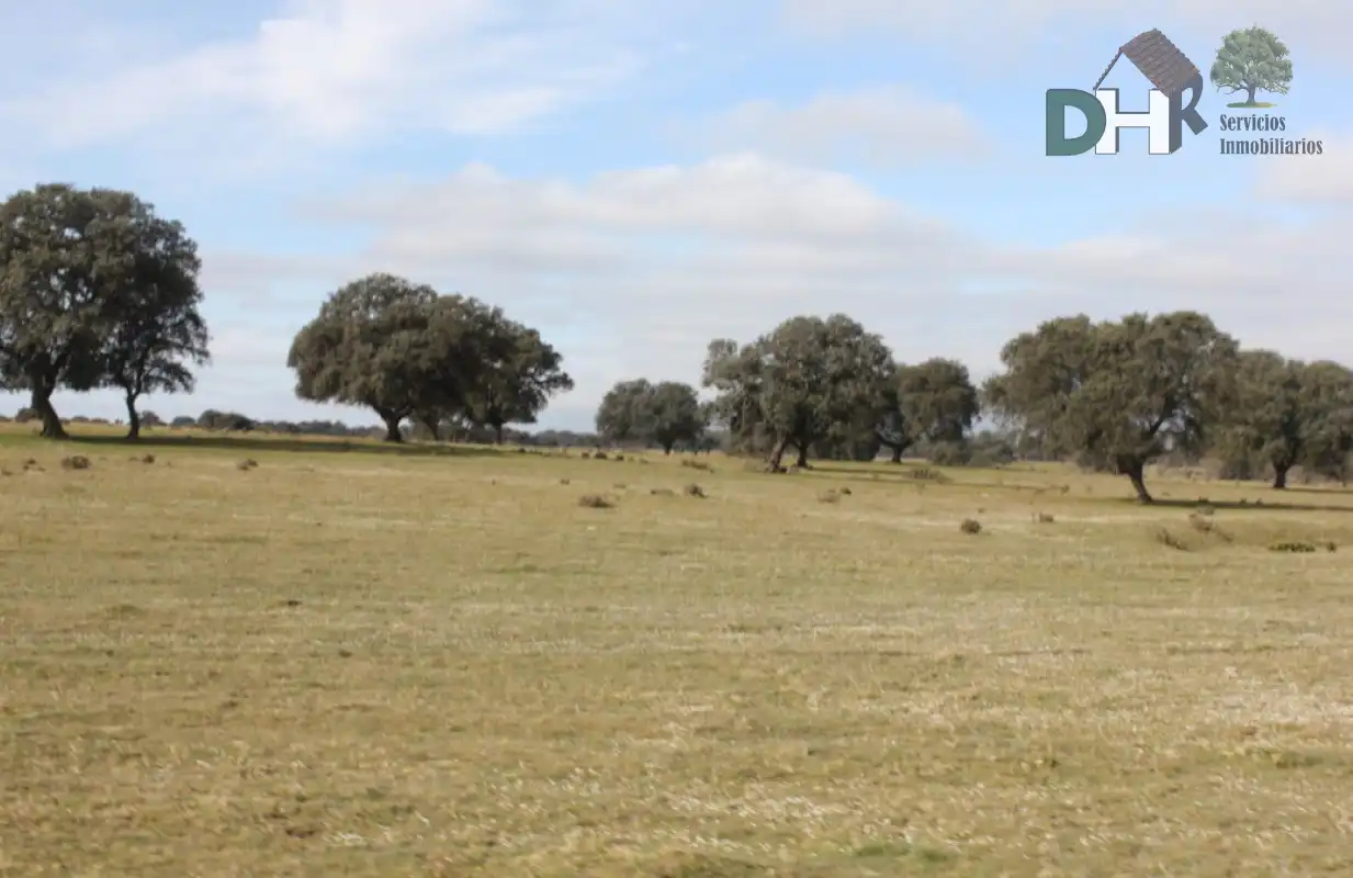 Terrenys i solars en venda a Los Cigarrales - La Bastida, imagen 4