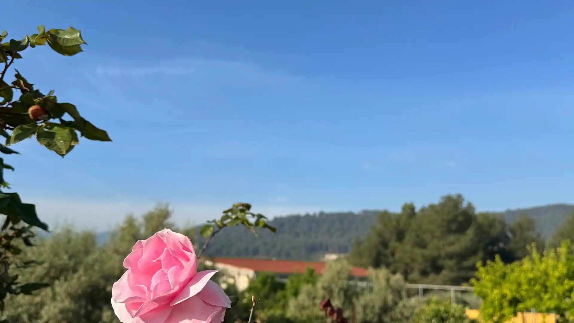 Garten von Country house zum Verkauf in Onda mit Privatgarten, Abstellraum und Schwimmbad