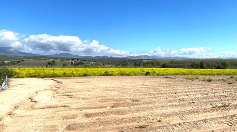 FINCA EN FUENSANTA