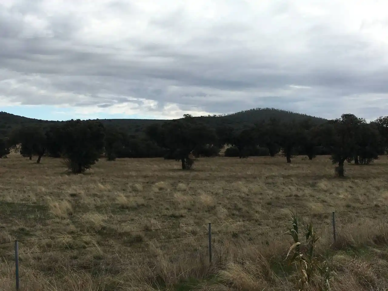 Terreny rústic en venda a Carretera  PERALEDA DEL ZAUCEJO, imagen 3