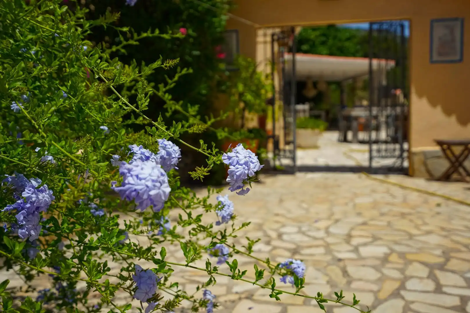 Jardín de Casa o chalet en venta en Castell de Castells con Aire acondicionado, Calefacción y Jardín privado