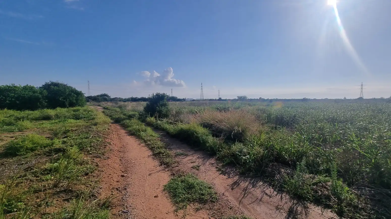 Land for sale in Vila-real
