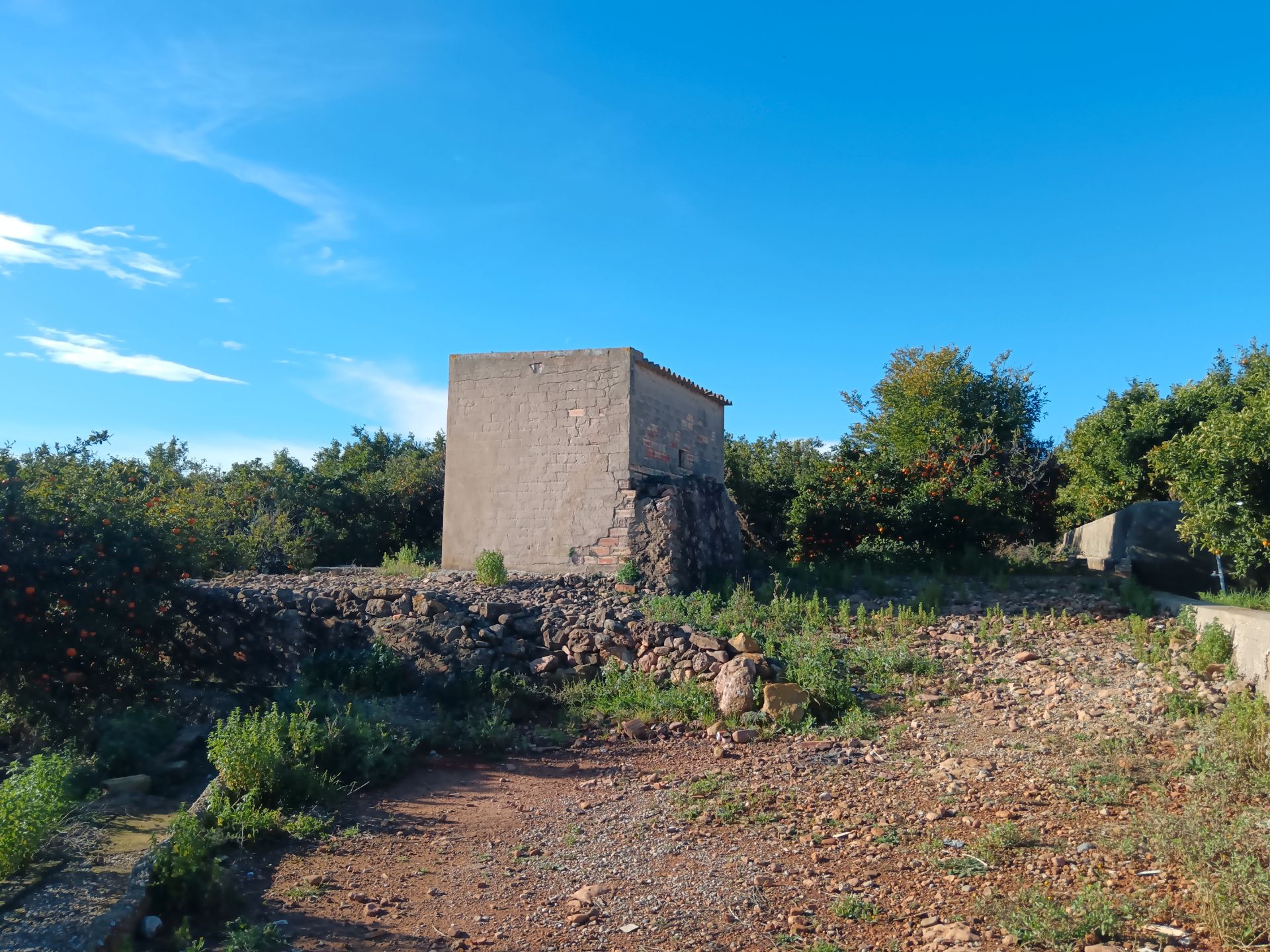 Finca rústica en venda en Vila-real