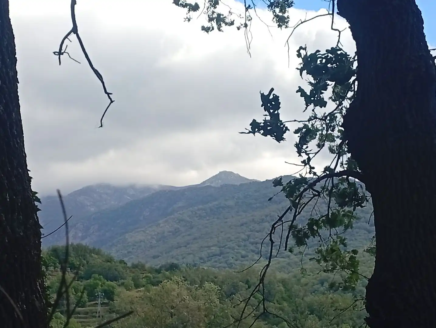 Terreni e lotti in vendita a Losar de la Vera, imagen 11