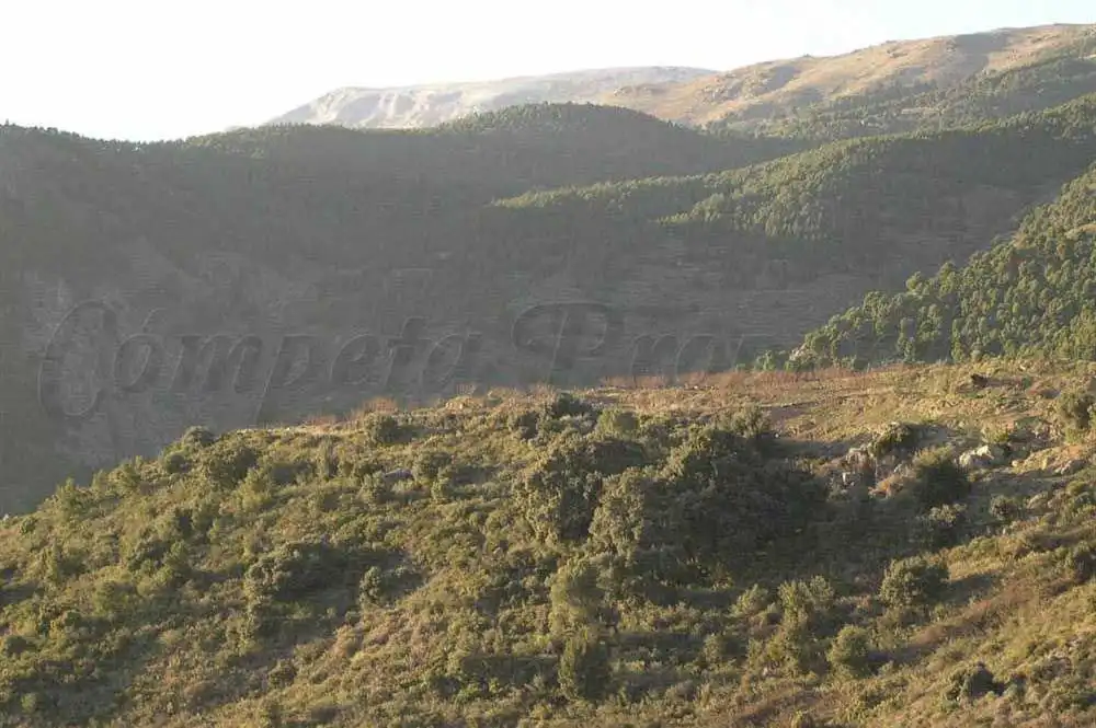 Terreny rústic en venda a Canillas de Albaida, imagen 3