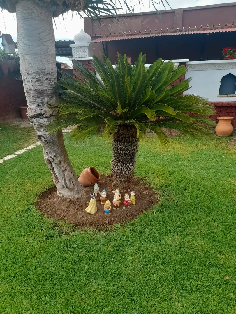 Jardín de Casa o chalet en venta en Brenes con Aire acondicionado, Jardín privado y Piscina