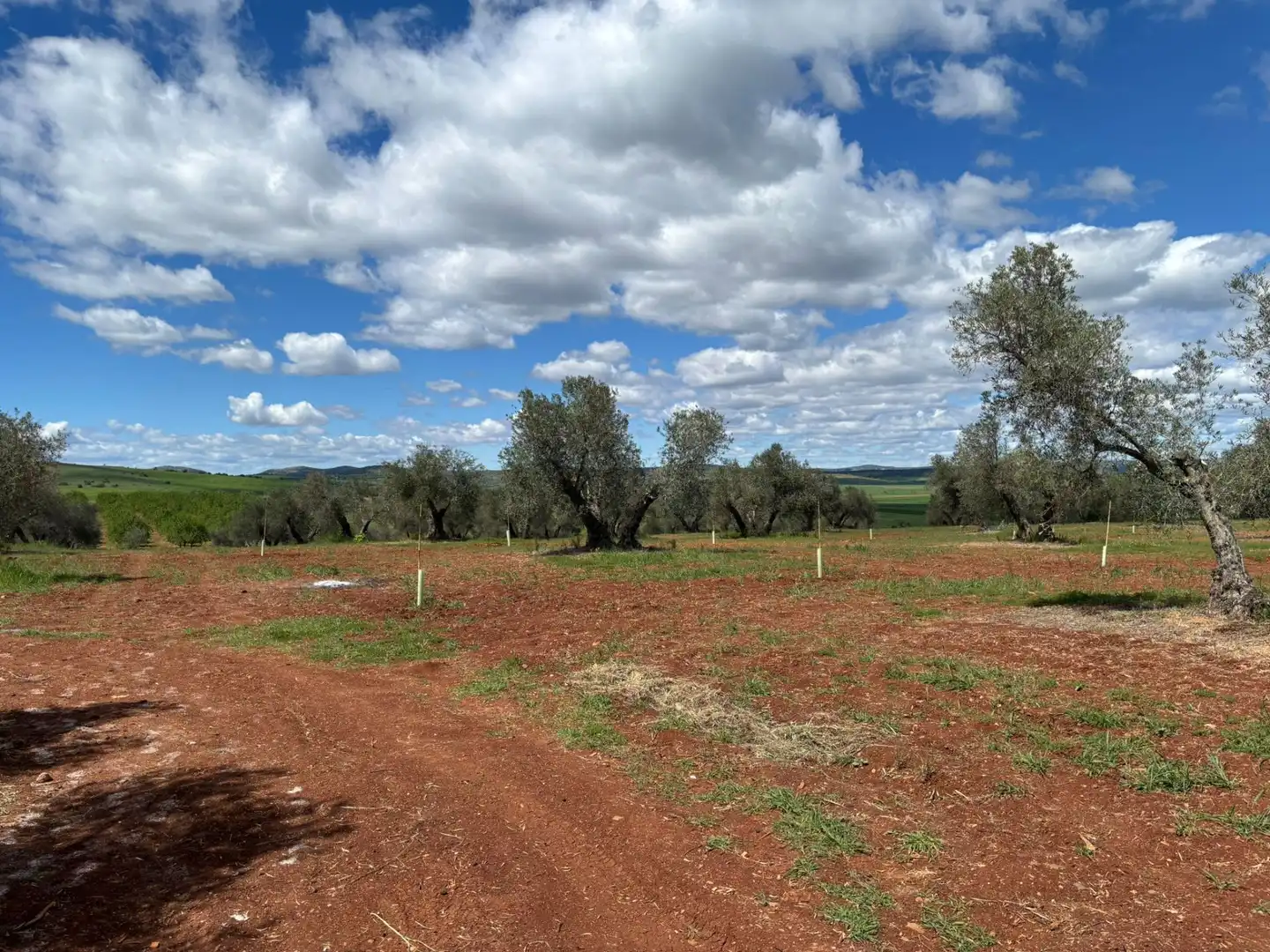 Residential for sale in Ciudad Real