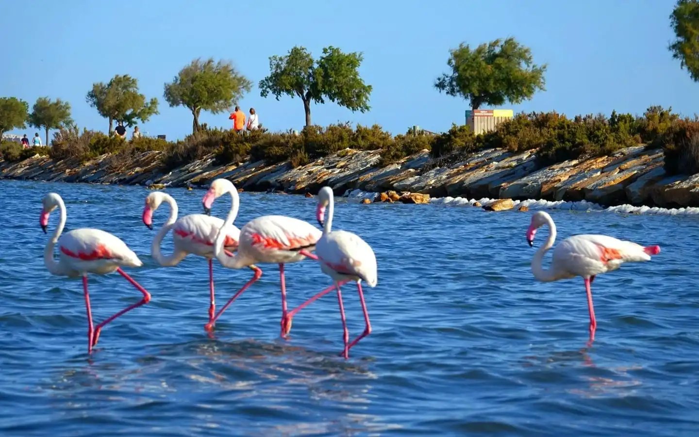 Außenansicht von Erdgeschoss zum Verkauf in San Pedro del Pinatar mit Klimaanlage und Möbliert
