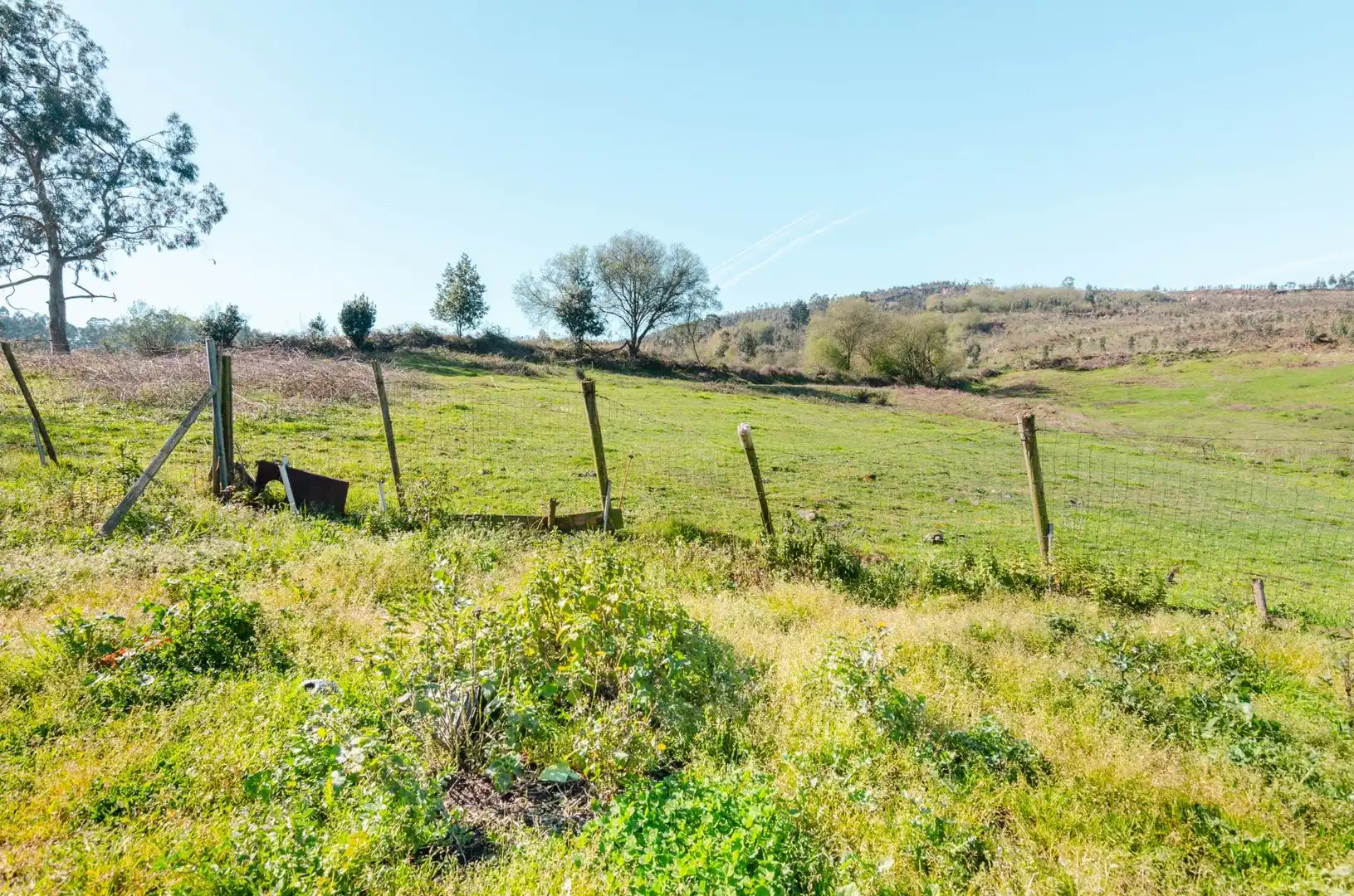Houses for sale in Llanera  with Alarm