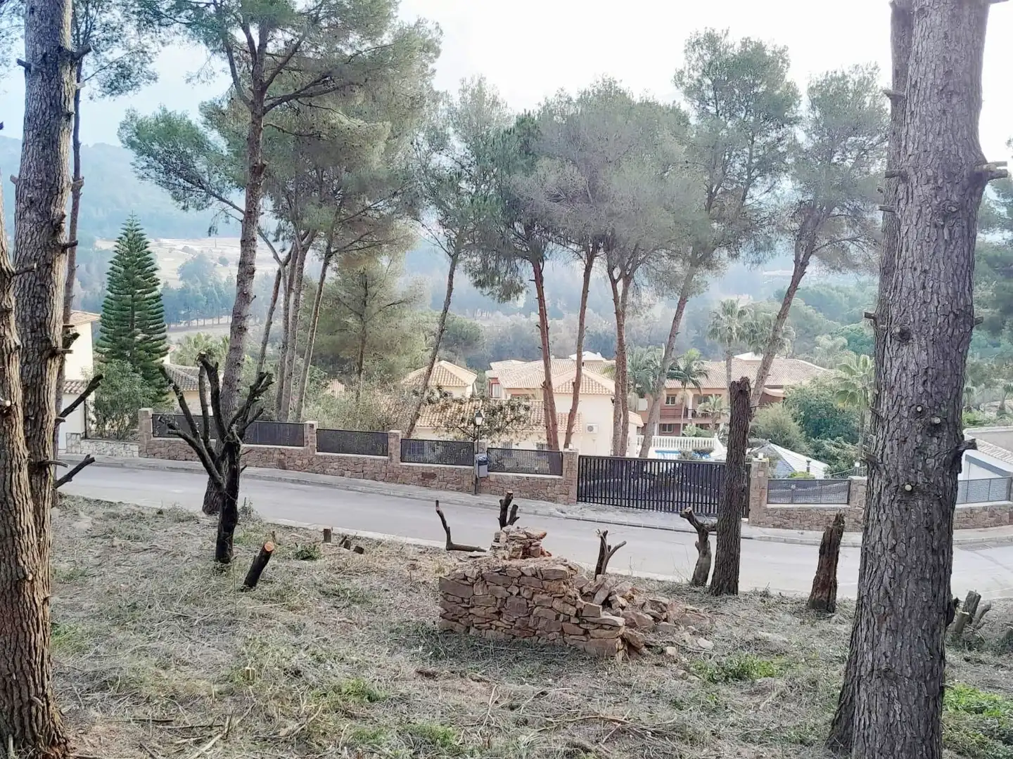 Terrenys i solars en venda a Pedreguer, imagen 3