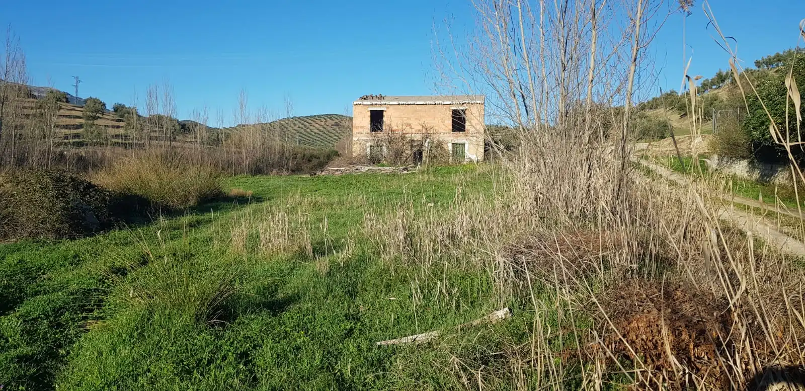 Terreni e lotti in vendita a Alcaudete, imagen 8