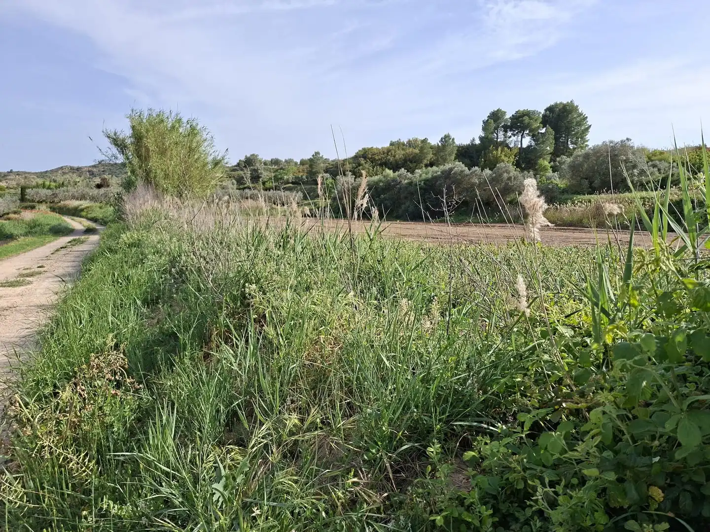Finca rústica en venda en Caspe